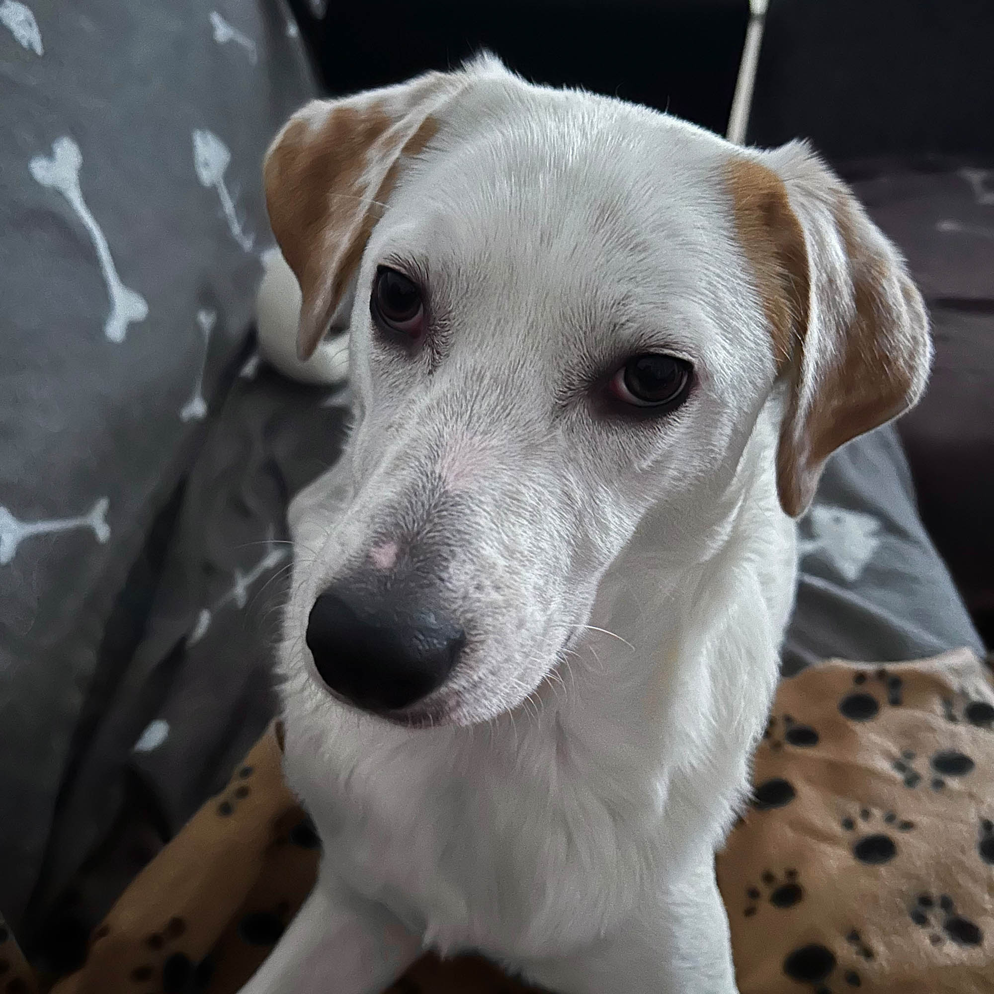 Über mich, Lina